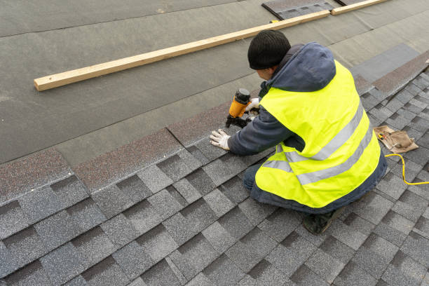 Best Roof Gutter Cleaning  in Nd Point, WI