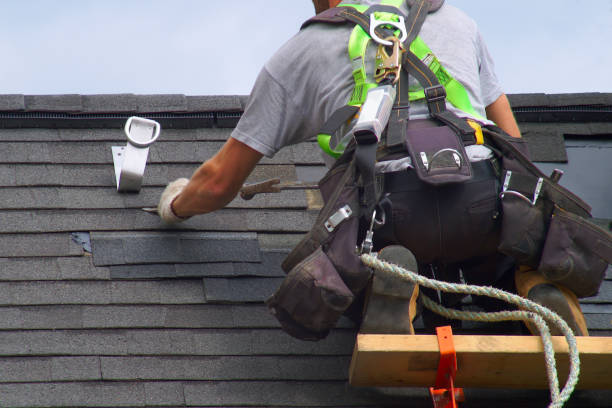 Best Roof Gutter Cleaning  in Nd Point, WI