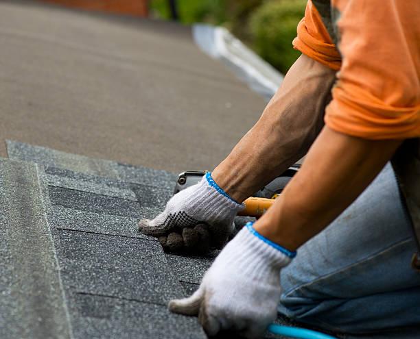 Best Metal Roofing Contractor  in Nd Point, WI