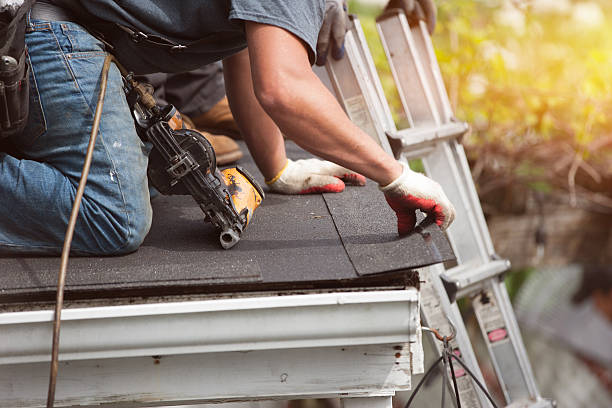 Best New Roof Installation  in Nd Point, WI