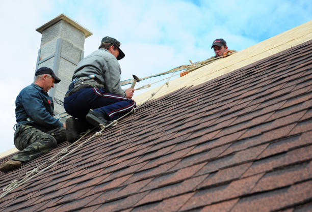 Best Residential Roofing Contractor  in Nd Point, WI