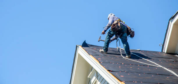 Best Roof Maintenance Services  in Nd Point, WI